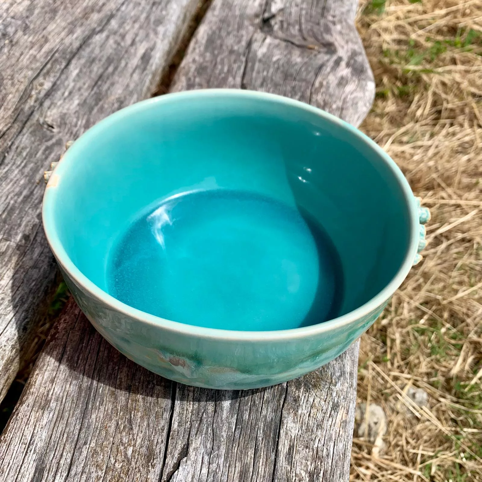 Bol large Lagon – Image 2